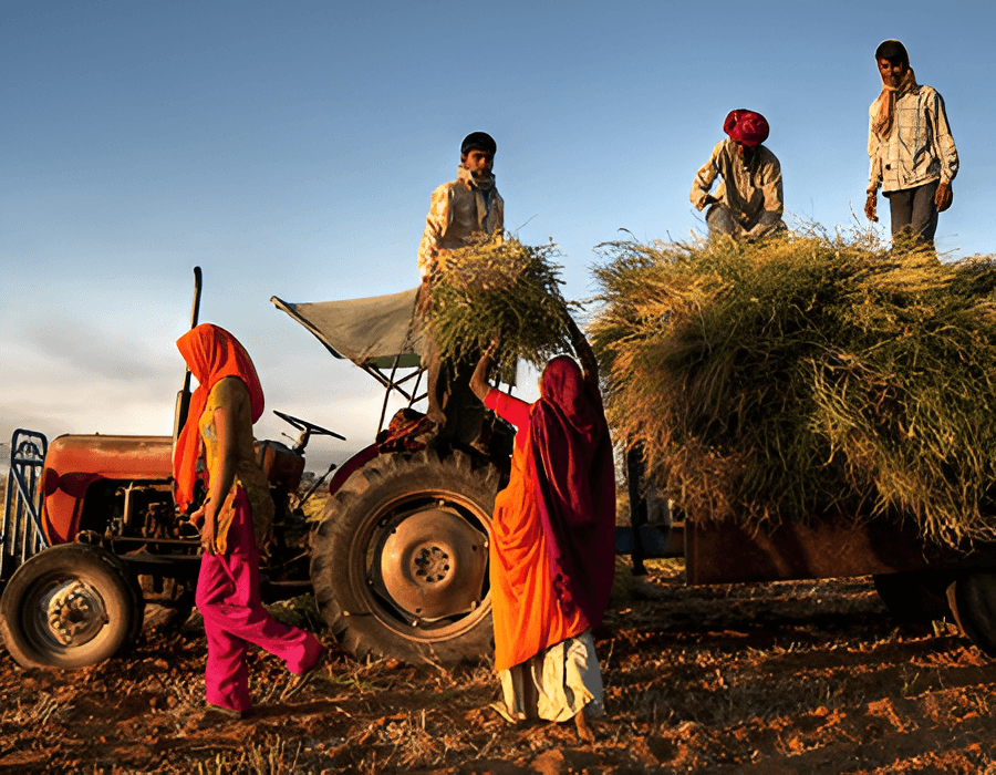 Agriculture & Farmer Capacity Building